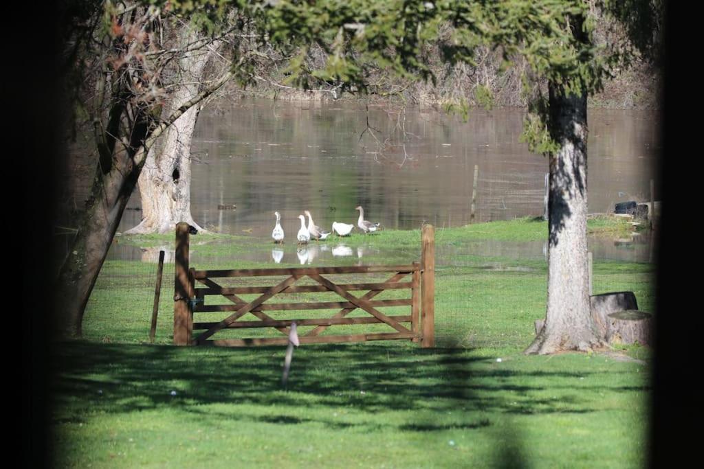Le Ponton Des Sympetrums Aurec-Sur-Loire Eksteriør bilde