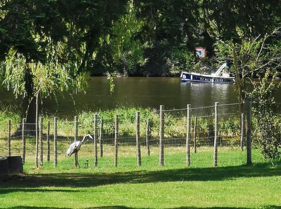 Le Ponton Des Sympetrums Aurec-Sur-Loire Eksteriør bilde